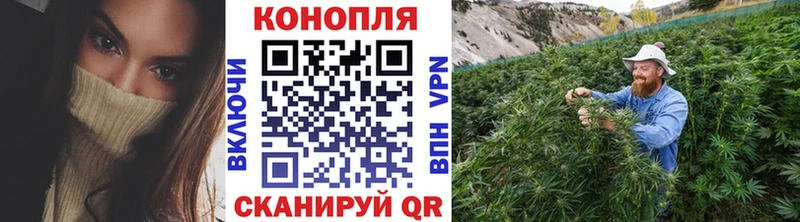 Купить закладку Кировск ГАШ  Псилоцибиновые грибы  Кокаин  Меф  Конопля 