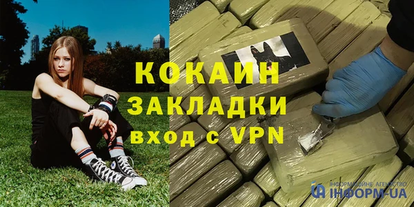 прущие грибы Богородск