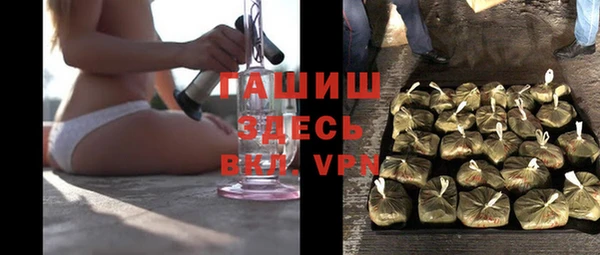 шишки Каменка