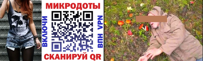 Псилоцибиновые грибы Psilocybe  Кировск 