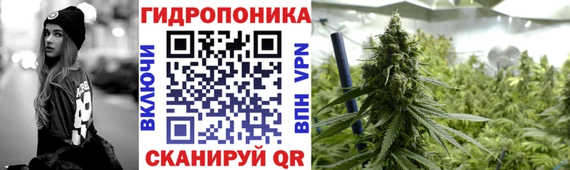 Марихуана сатива  Кировск 